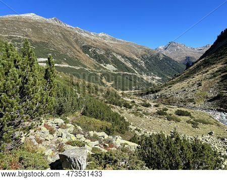 Beautiful Autumn Panorama Of The Alpine Valley Val Grialetsch And The Stream Aua Da Grialetsch In Th