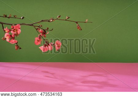Composition Empty Podium Material Tree And Spring Flowers. Empty Background Composition For Cosmetic