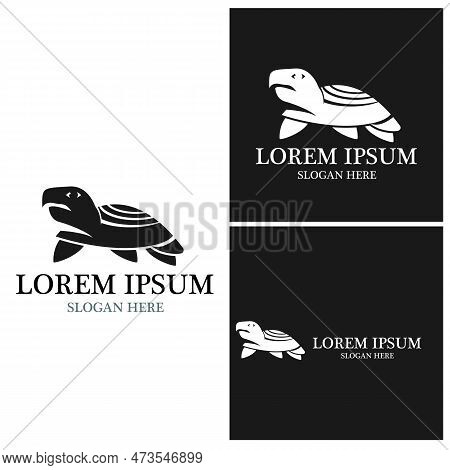 Turtle Animal Cartoon Icon
