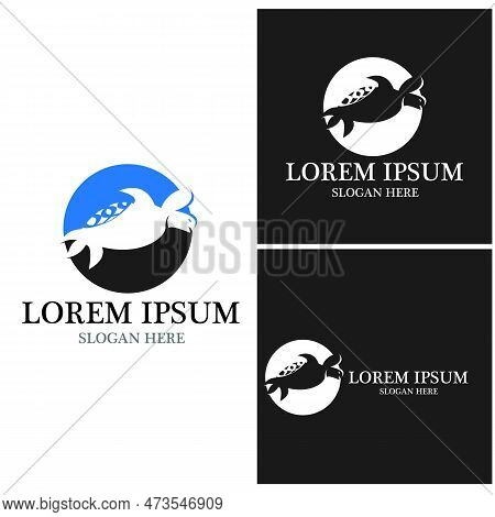 Turtle Animal Cartoon Icon