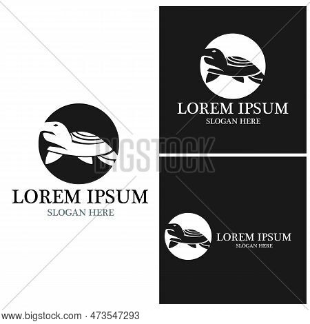 Turtle Animal Cartoon Icon