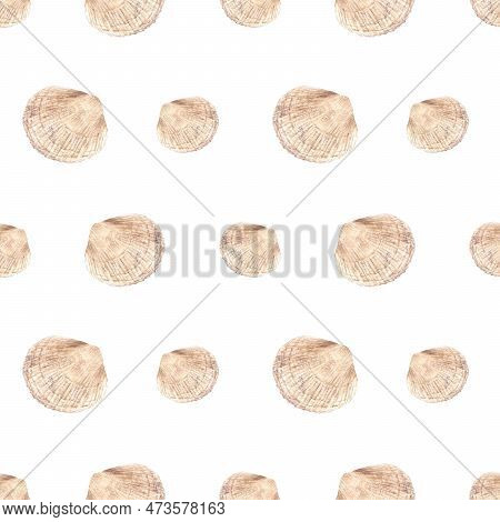 Seamless Pattern With Seashells. Hand Drawn Watercolor Illustration Isolated On White For Wrapping, 