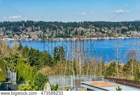 Home Line The Shore Of Lake Sammamish Near Issaquah, Washington.