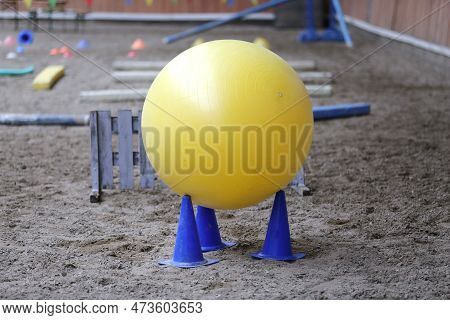 Plastic Physioball On The Sand During Training For Beginner Riders And Horses At Riding School Indoo