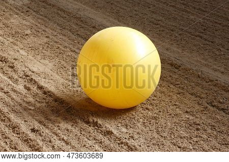 Plastic Physioball On The Sand During Training For Beginner Riders And Horses At Riding School Indoo