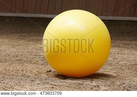 Plastic Physioball On The Sand During Training For Beginner Riders And Horses At Riding School Indoo