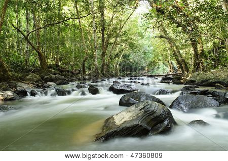 Tropische rivier In de Jungle