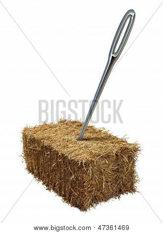 Needle In A Haystack