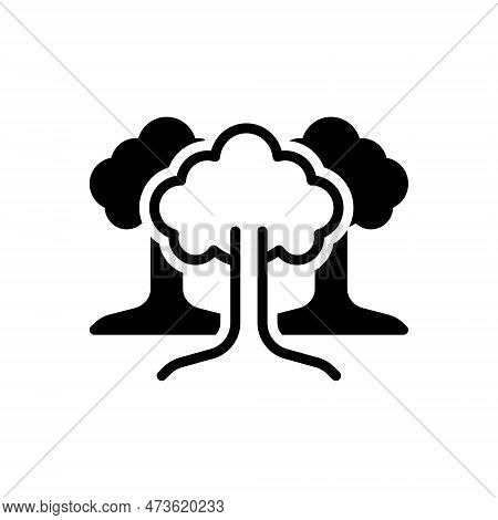 Black Solid Icon For Trees Greenstuff Botany Flora Greenery Forest Ecology Nature Wild Garden