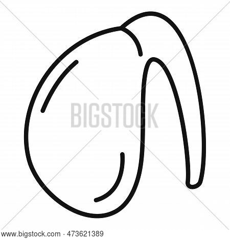 Digestion Bladder Icon. Outline Digestion Bladder Icon For Web Design Isolated On White Background