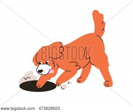 Cute Dog Digging Hole With Paws. Funny Little Puppy, Canine Animal. Happy Excited Pup, Doggy Explori