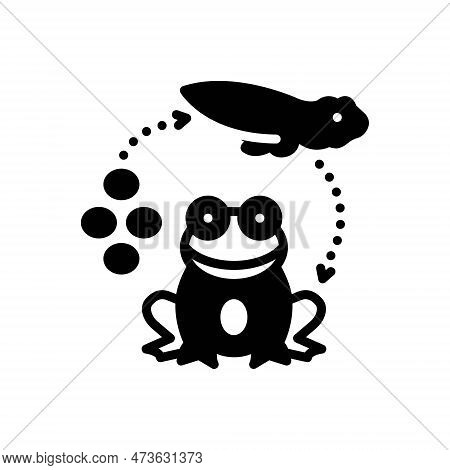Black Solid Icon For Reproduced Beget Tadpole Egg Life-cycle Froglet Transformation Amphibian Proces