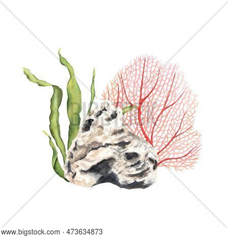Coral Reef Underwater Composition. Hand Drawn Watercolor Illustration Isolated On White For Clip Art