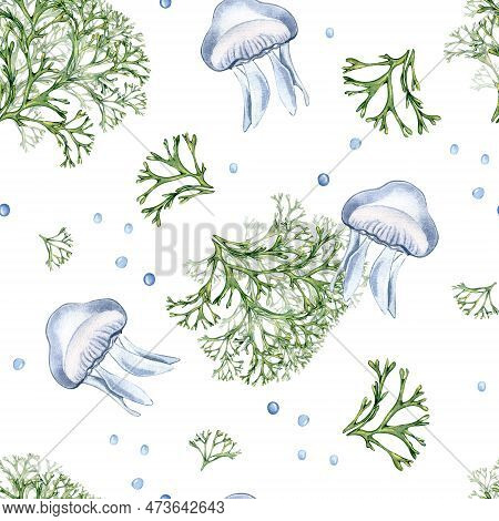 Seamless Pattern Of Green Sea Plant And Jellyfish Watercolor Illustration Isolated On White Backgrou
