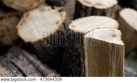 An Ax Is Chopping Wood. Slow Motion Chopping Wood. A Worker Cuts Wood Outdoors.
