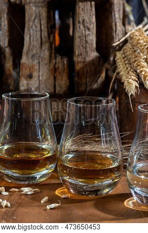Speyside Scotch Whisky Tasting On Old Dark Wooden Vintage Table With Barley Grains Close Up