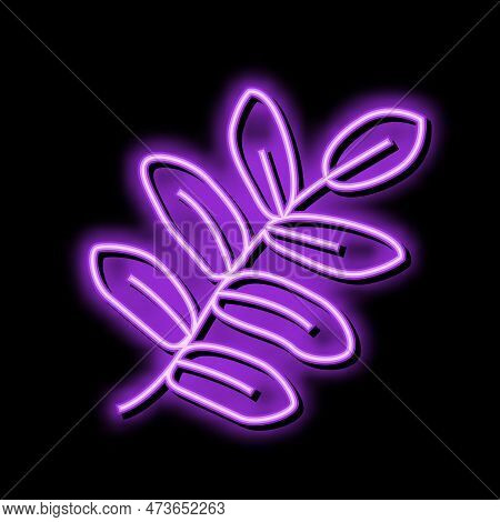 Royal Fern Tropical Leaf Neon Light Sign Vector. Royal Fern Tropical Leaf Sign. Isolated Symbol Illu
