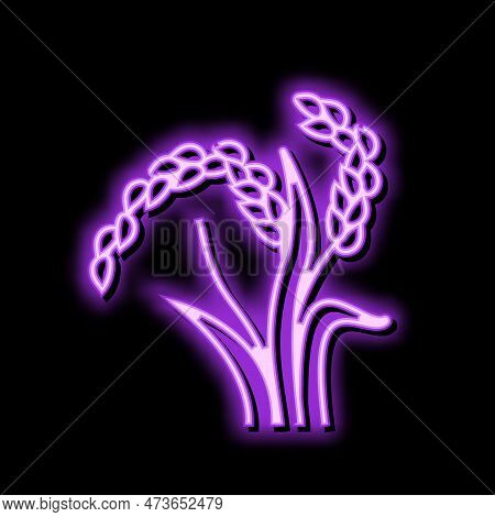Oryza Plant Food Neon Light Sign Vector. Oryza Plant Food Sign. Isolated Symbol Illustration