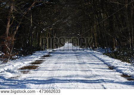 Beautiful View Of A Snow-covered Dirt Road Near Huenxe, Germany