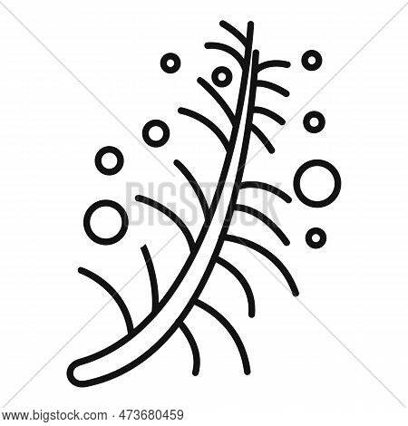 Essential Oils Plant Icon. Outline Essential Oils Plant Icon For Web Design Isolated On White Backgr