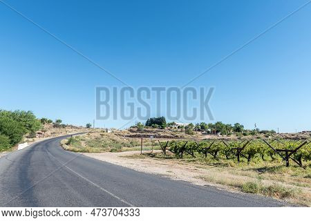 Kanoneiland, South Africa - Feb 25, 2023: A Farm Scene Next To Kononeiland Near Upington. Vineyards 