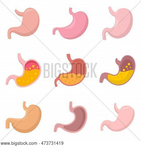 Stomach Icons Set. Flat Set Of Stomach Icons Isolated On White Background