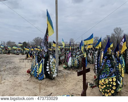 National Flags At The Military Cemetery. Eternal Memory To The Defenders Of Ukraine. Cemetery With T