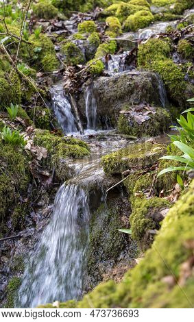 Closeup Shot Of A Small Rivulet With Some Cascades In Early Spring Time
