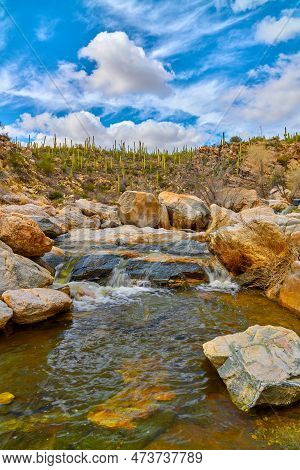 Small Fall Along Tanque Verde Creek In The Coronado National Forest, Arizona.