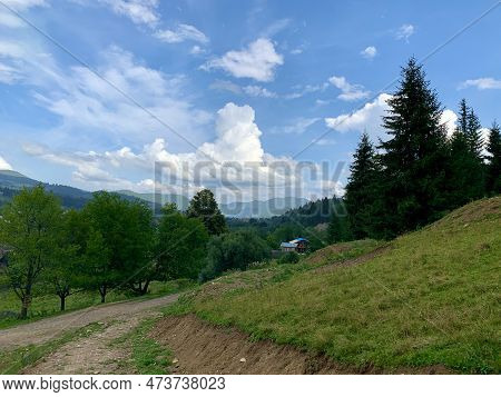Mountain Landscape: Against The Backdrop Of Fir Trees And High Mountains. Rustic Atmosphere Among Th
