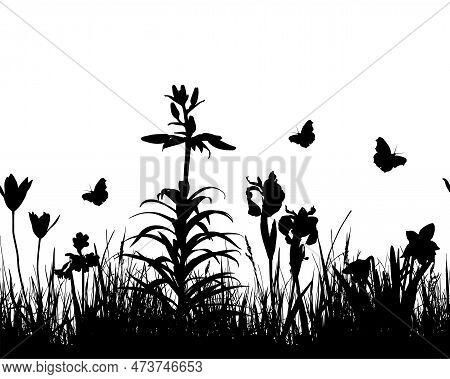 Vector Seamless Border With Spring Flowers In Grass Isolated On White Background