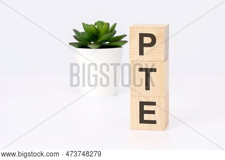 Text Pte On Wooden Blocks In White Background With Copy Space