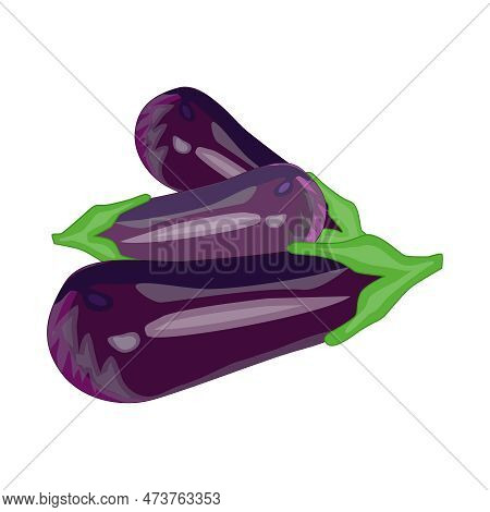 Eggplant Isolated On White Background. Purple Fresh Aubergines Ripe. Group Of Eggplants Vegetables F