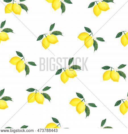 Watercolor Seamless Pattern With Yellow Lemon Branch Isolated On White Background. Illustration For 