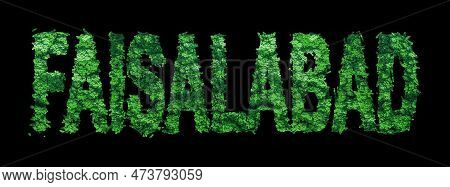 Faisalabad Lettering, Faisalabad Forest Ecology Concept On Black, Clipping Path