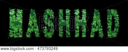 Mashhad Lettering, Mashhad Forest Ecology Concept On Black, Clipping Path
