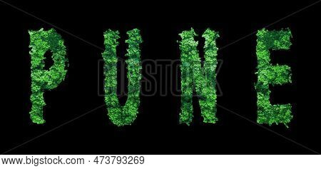 Pune Lettering, Pune Forest Ecology Concept On Black, Clipping Path