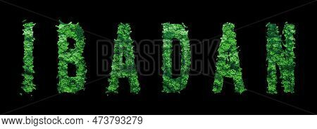 Ibadan Lettering, Ibadan Forest Ecology Concept On Black, Clipping Path