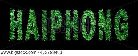 Haiphong Lettering, Haiphong Forest Ecology Concept On Black, Clipping Path