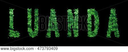 Luanda Lettering, Luanda Forest Ecology Concept On Black, Clipping Path