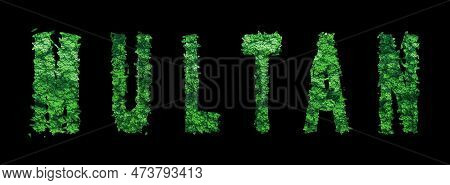 Multan Lettering, Multan Forest Ecology Concept On Black, Clipping Path