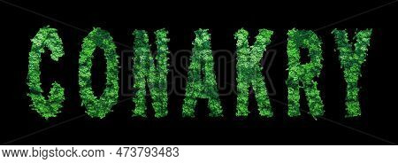 Conakry Lettering, Conakry Forest Ecology Concept On Black, Clipping Path