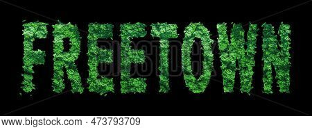 Freetown Lettering, Freetown Forest Ecology Concept On Black, Clipping Path