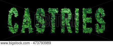 Castries Lettering, Castries Forest Ecology Concept On Black, Clipping Path