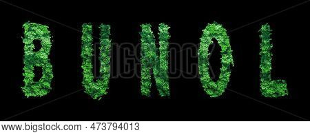 Bunol Lettering, Bunol Forest Ecology Concept On Black, Clipping Path