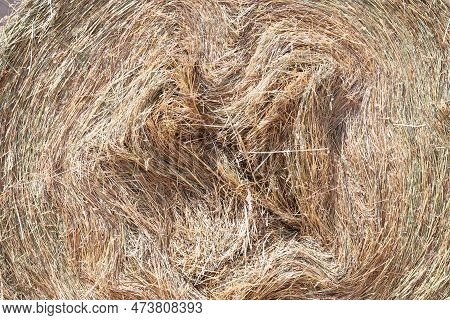 Bale Of Strawrolls. Stacked Straw Bales In An Animal Farm. Farmyard Storage Concept. Lots Of Hay. Ho