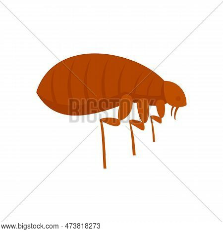 Parasite Bug Icon. Flat Illustration Of Parasite Bug Icon Isolated On White Background