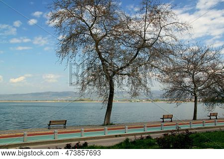 Landscape View Of Lake Iznik And Its Embankment With Bare Trees In The Foreground And A Blue Sky Wit