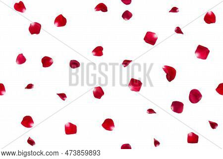 Eamless Pattern Of Red Rose Petals, Isolated On White Background. Flat Lay, Top View. Falling Red Ro
