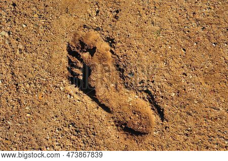 Deep Footprint Left In Hardened Soil. Age-old Evidence Of Mankind's Presence On Earth. High Quality 